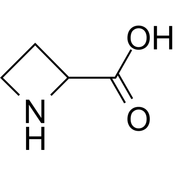 Azetidine-2-carboxylic acid 2517-04-6